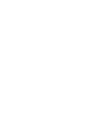 Srini Group Logo
