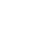 Srinigroup
